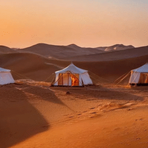 10 Days | Oman Highlights – Nature, Culture & Coast