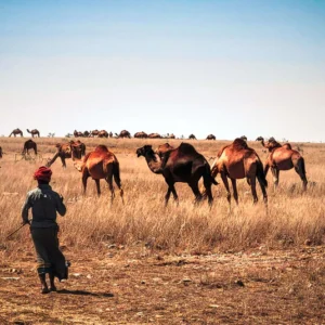 14 Days | Oman Tour – Experience North & South